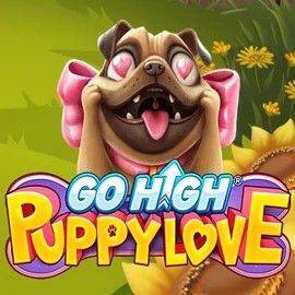 Go High Puppy Love by RubyPlay, showcased at casino-casinolab.com – game logo